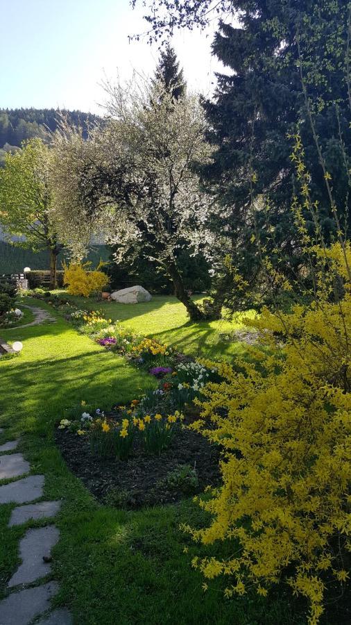 Appartements Margit فيبيتينو المظهر الخارجي الصورة